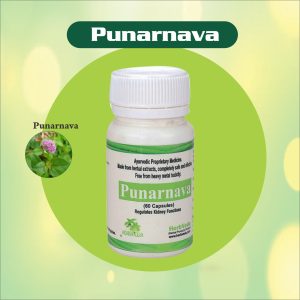 Pure Punarnava Extract